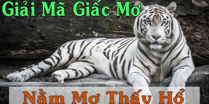 Nằm mơ thấy hổ: Con số may mắn và cách đánh đề hiệu quả 2 Những yếu tố liên quan đến giấc mơ thấy hổ