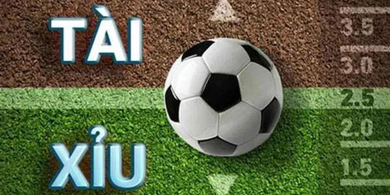 Cách cá độ bóng đá tài xỉu - Bí quyết thành công và an toàn 2 Khám phá nguyên tắc cơ bản trong cá độ bóng đá tài xỉu