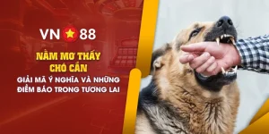 add nam mo thay cho can 1