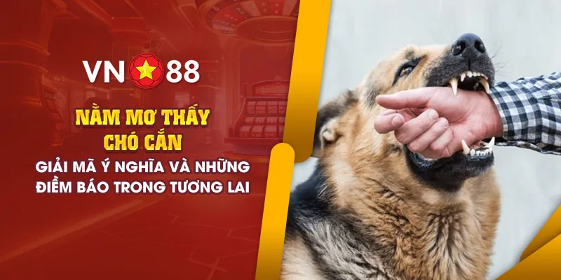 add nam mo thay cho can 1
