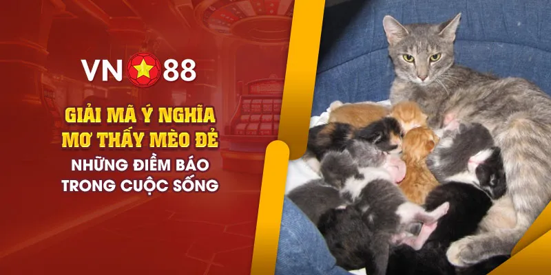mo thay meo de 4