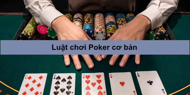 Bí Kíp Chơi Poker – Thành Thạo Luật & Chiến Thuật Như Cao Thủ 2 Luật chơi Poker cơ bản dành cho người mới bắt đầu